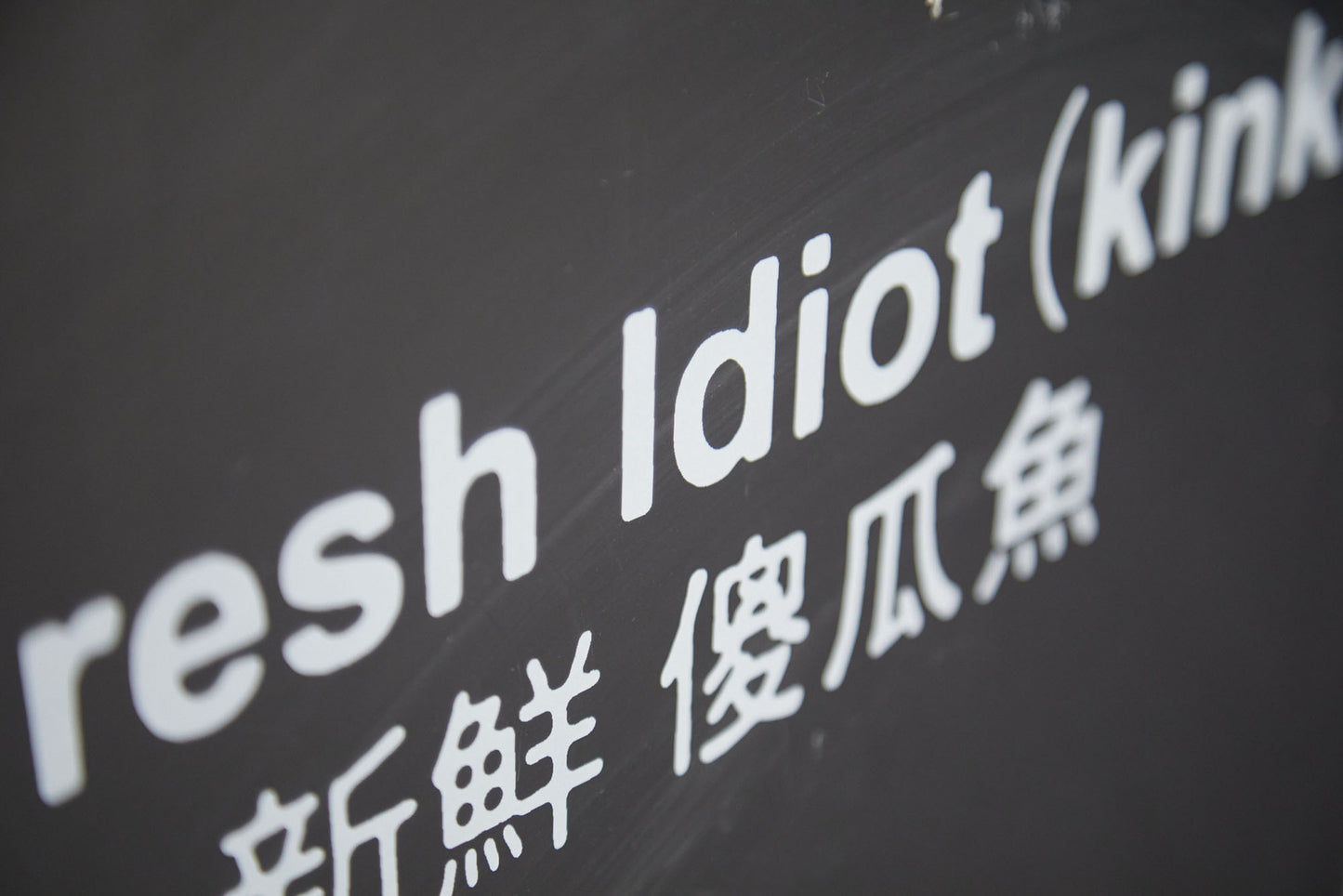 Fresh Idiot (kinki) - Meckatzer
