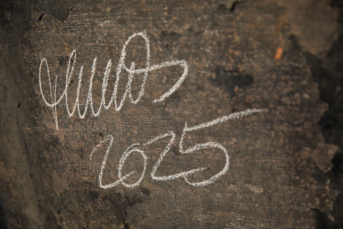 What Watch, Sweetnessheart? 26