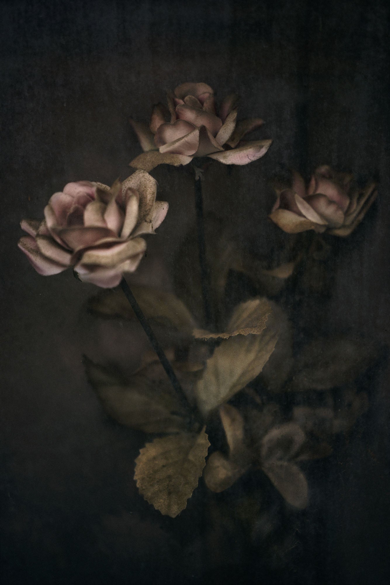 ETERNITY 01, 2005