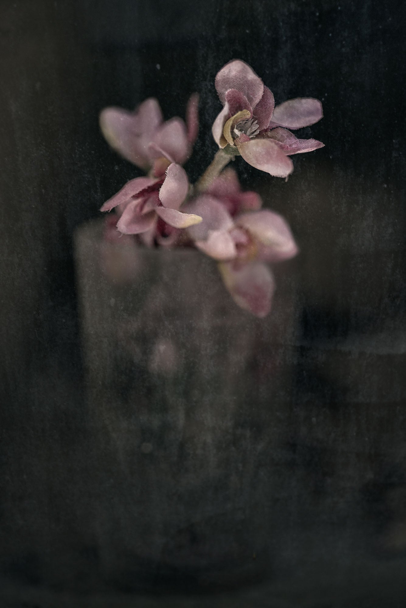 ETERNITY 08, 2008