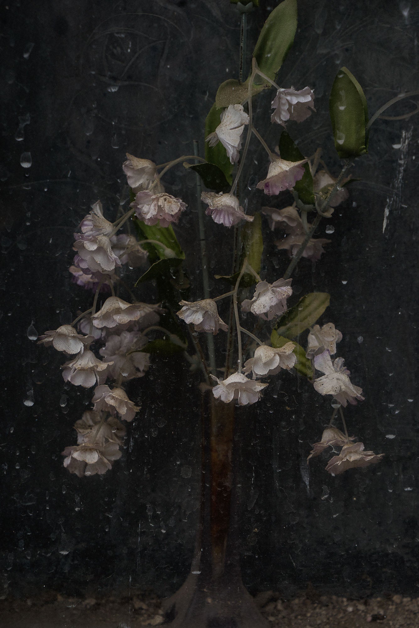 ETERNITY 100, 2005