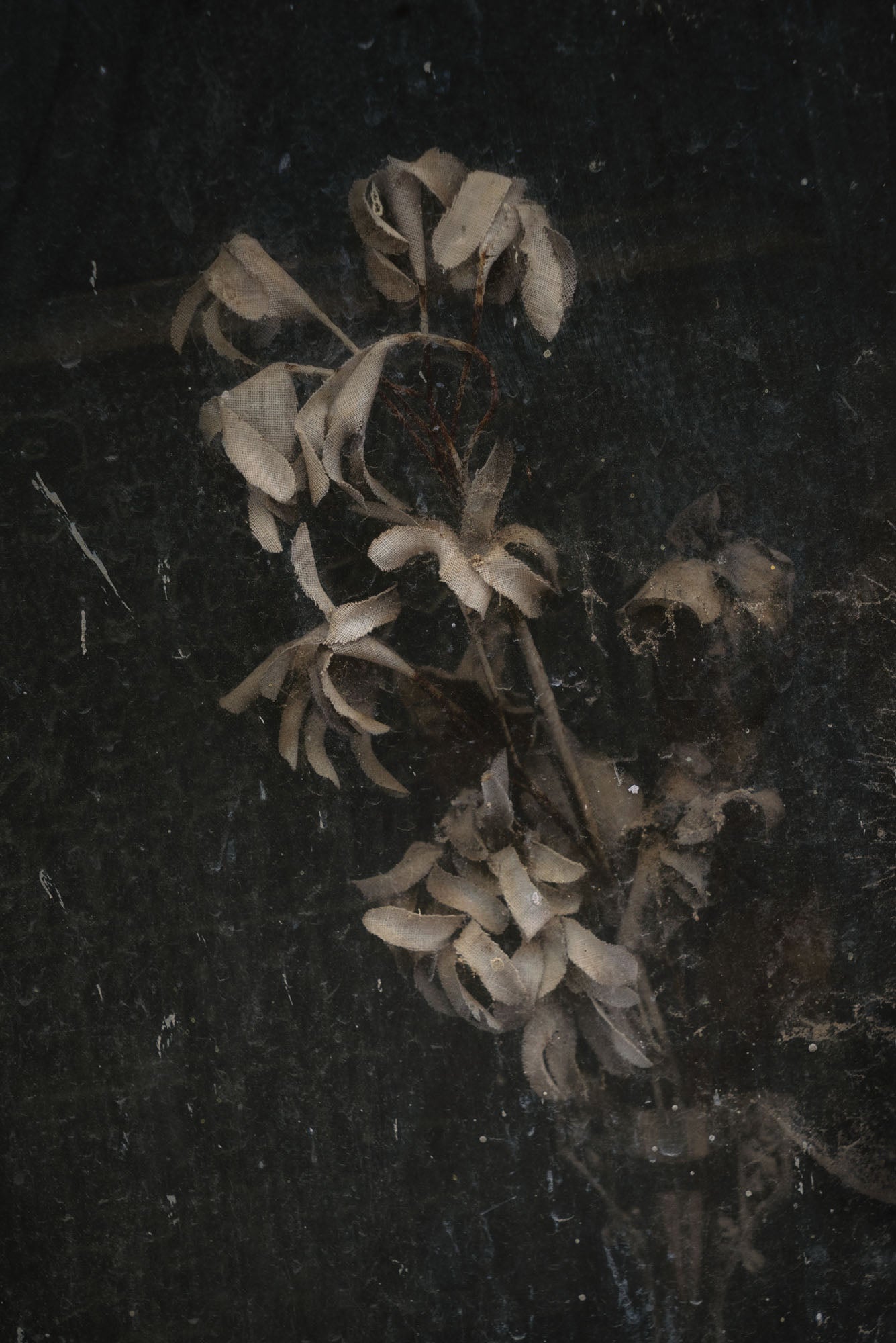 ETERNITY 102, 2011