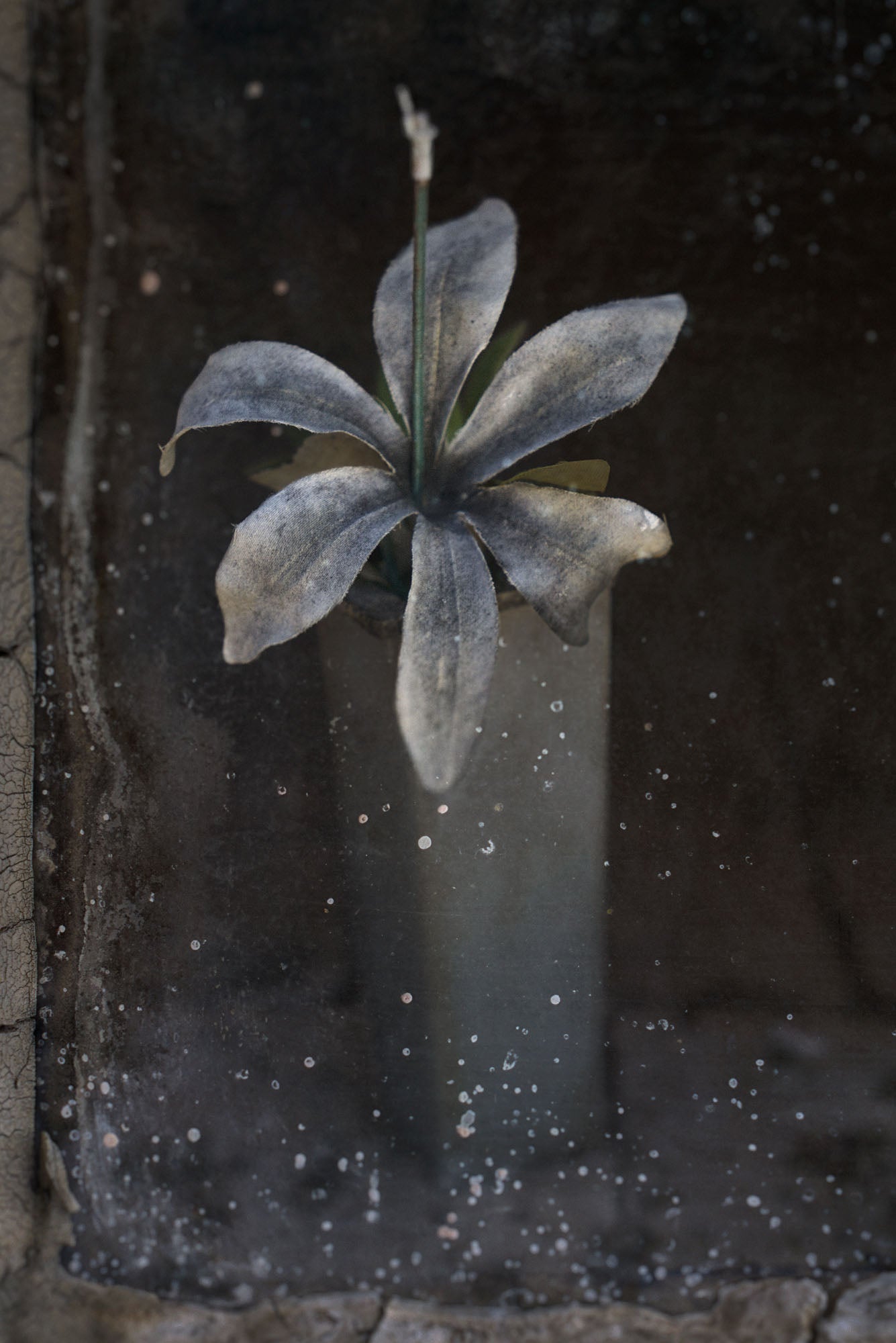 ETERNITY 10, 2010