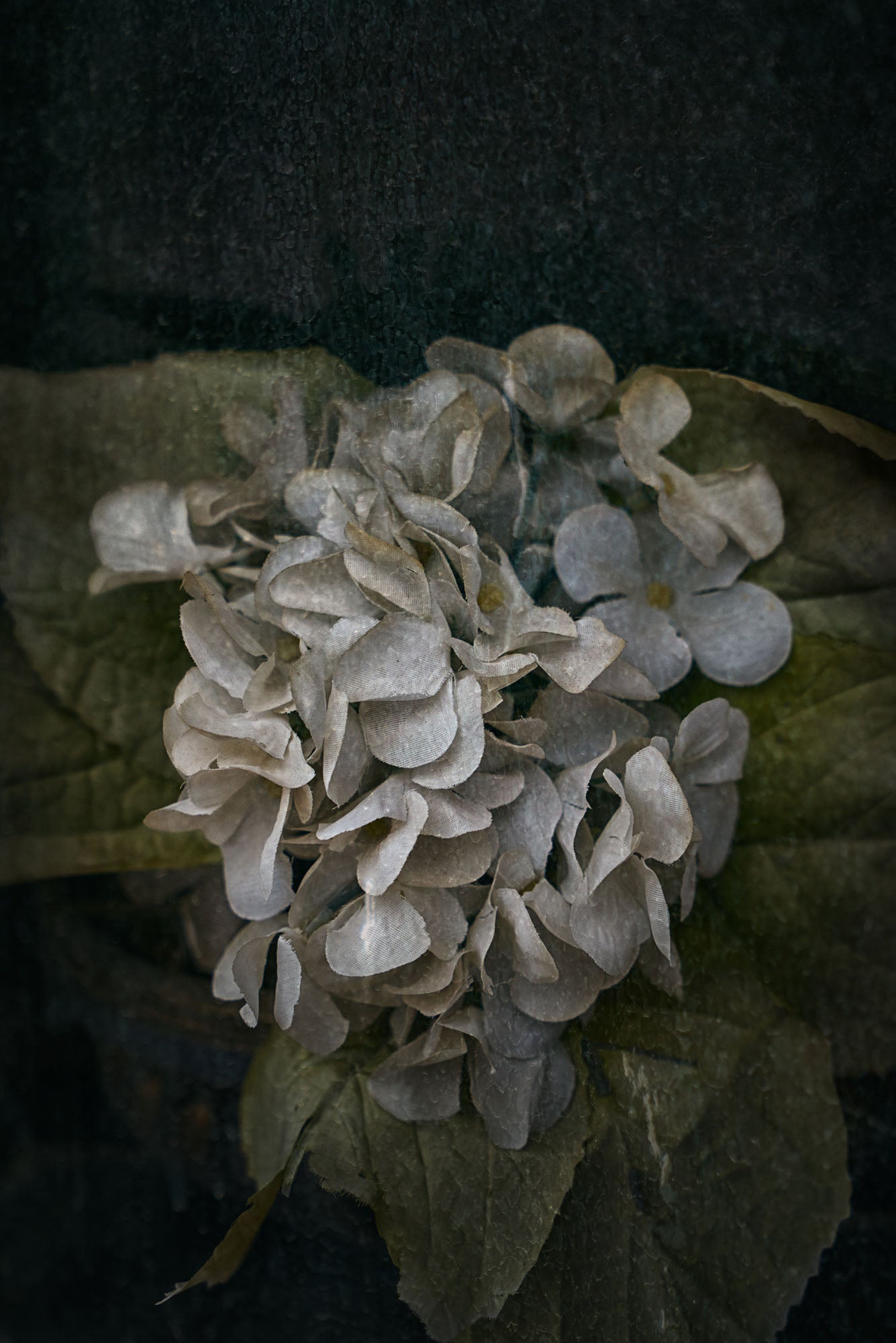 ETERNITY 11, 2009