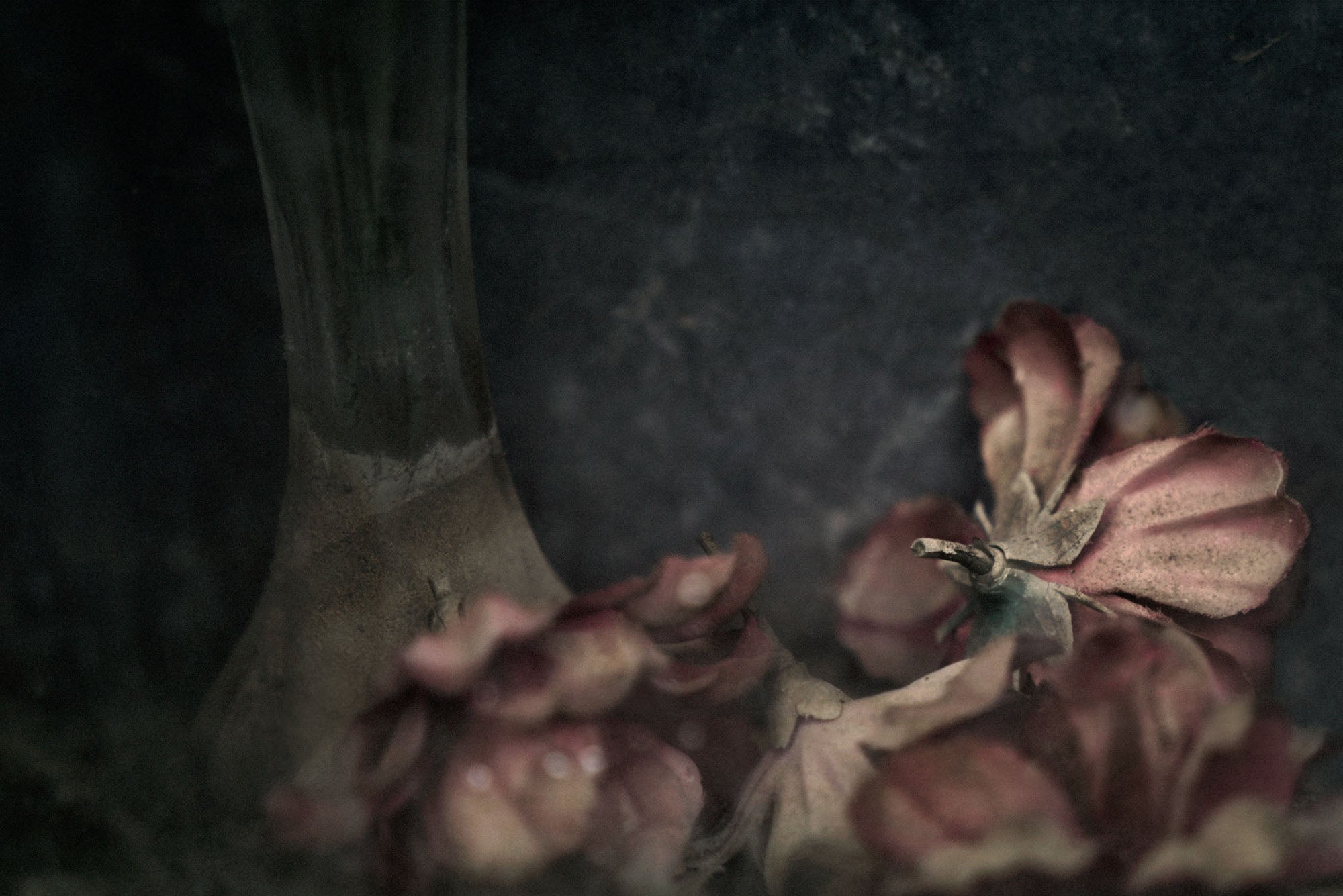 ETERNITY 20, 2009