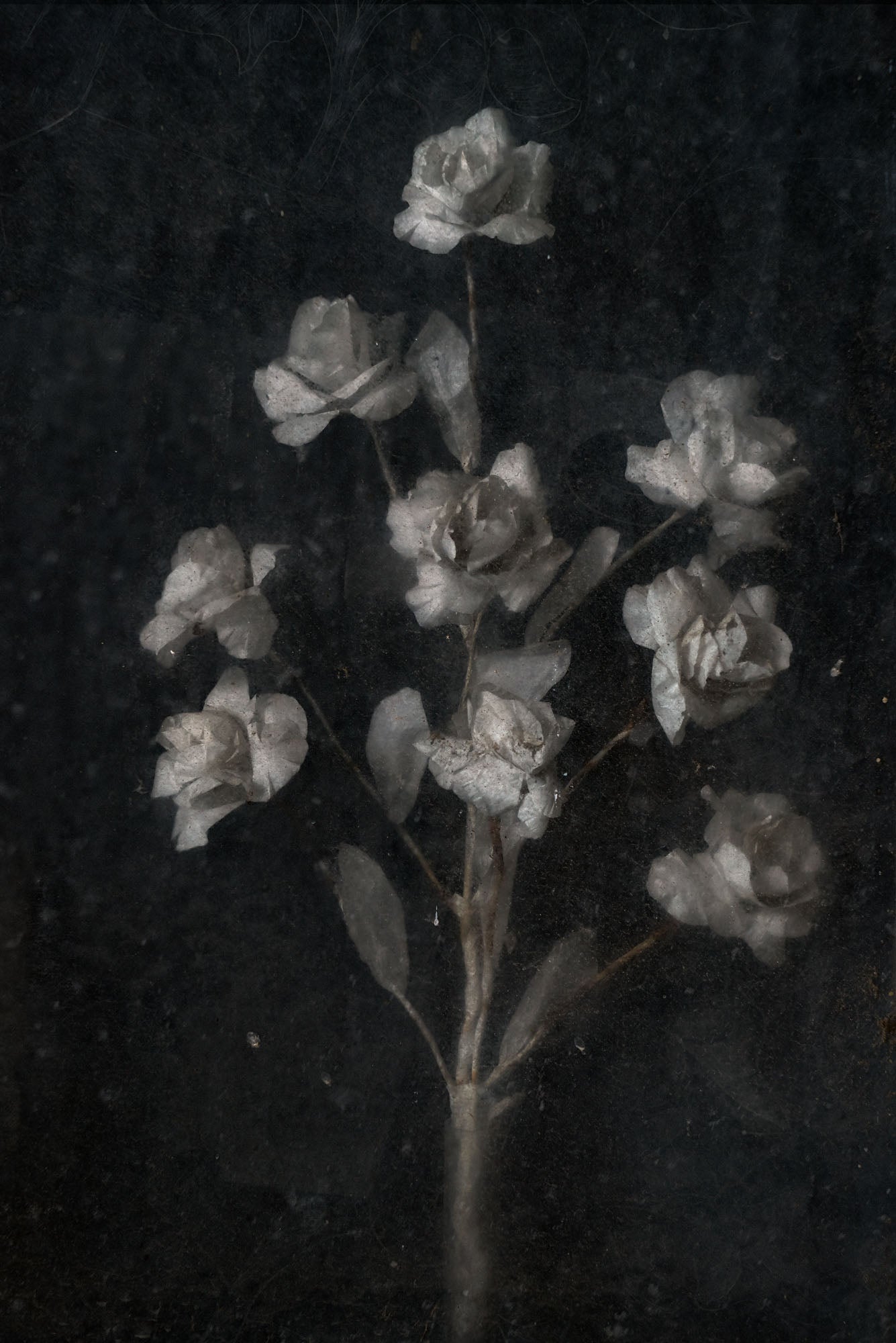 ETERNITY 29, 2008