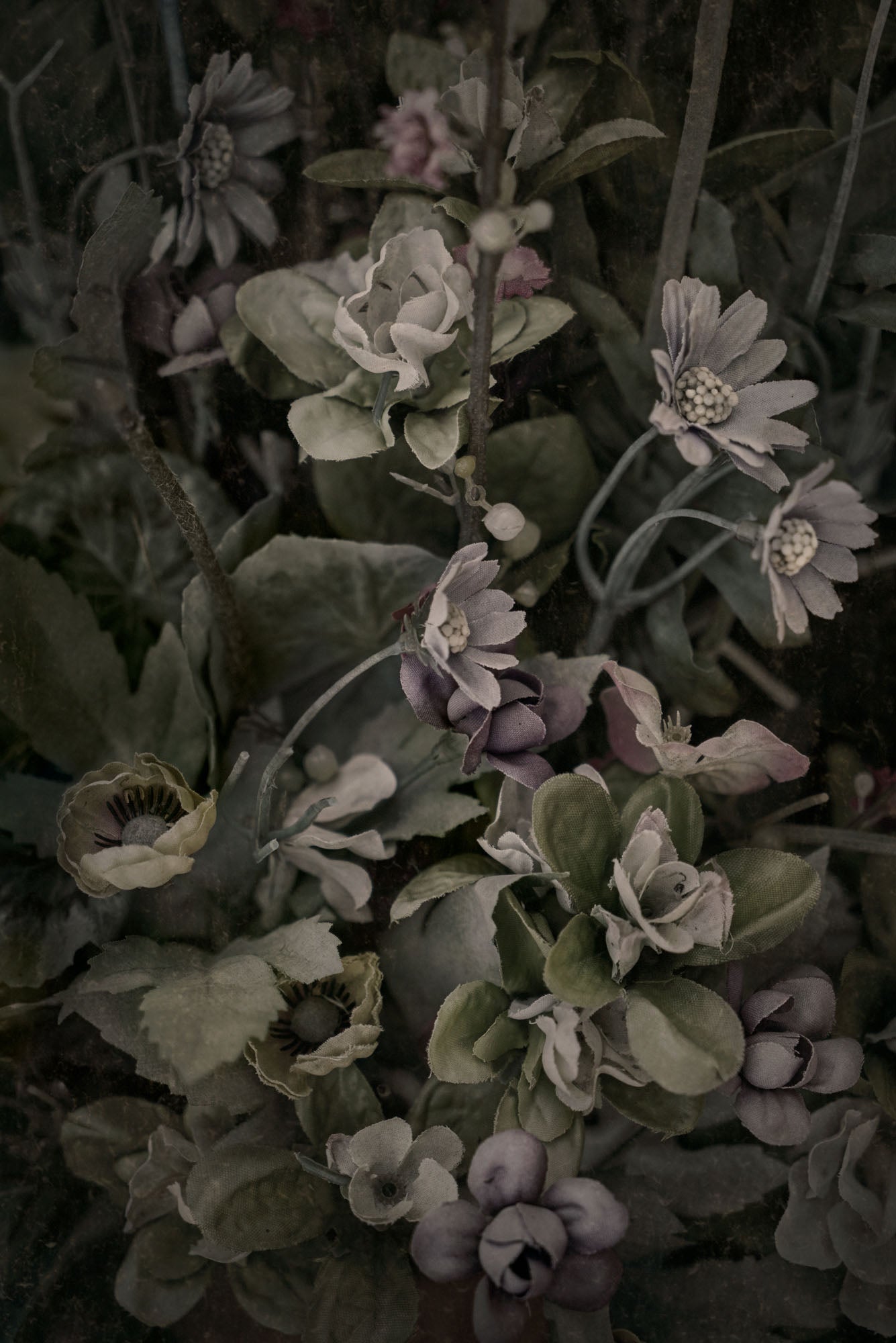 ETERNITY 37, 2007