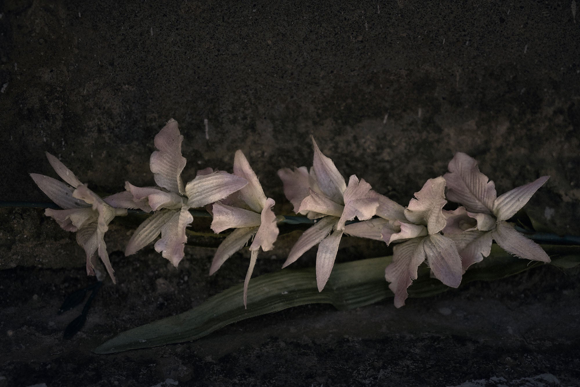 ETERNITY 45, 2007