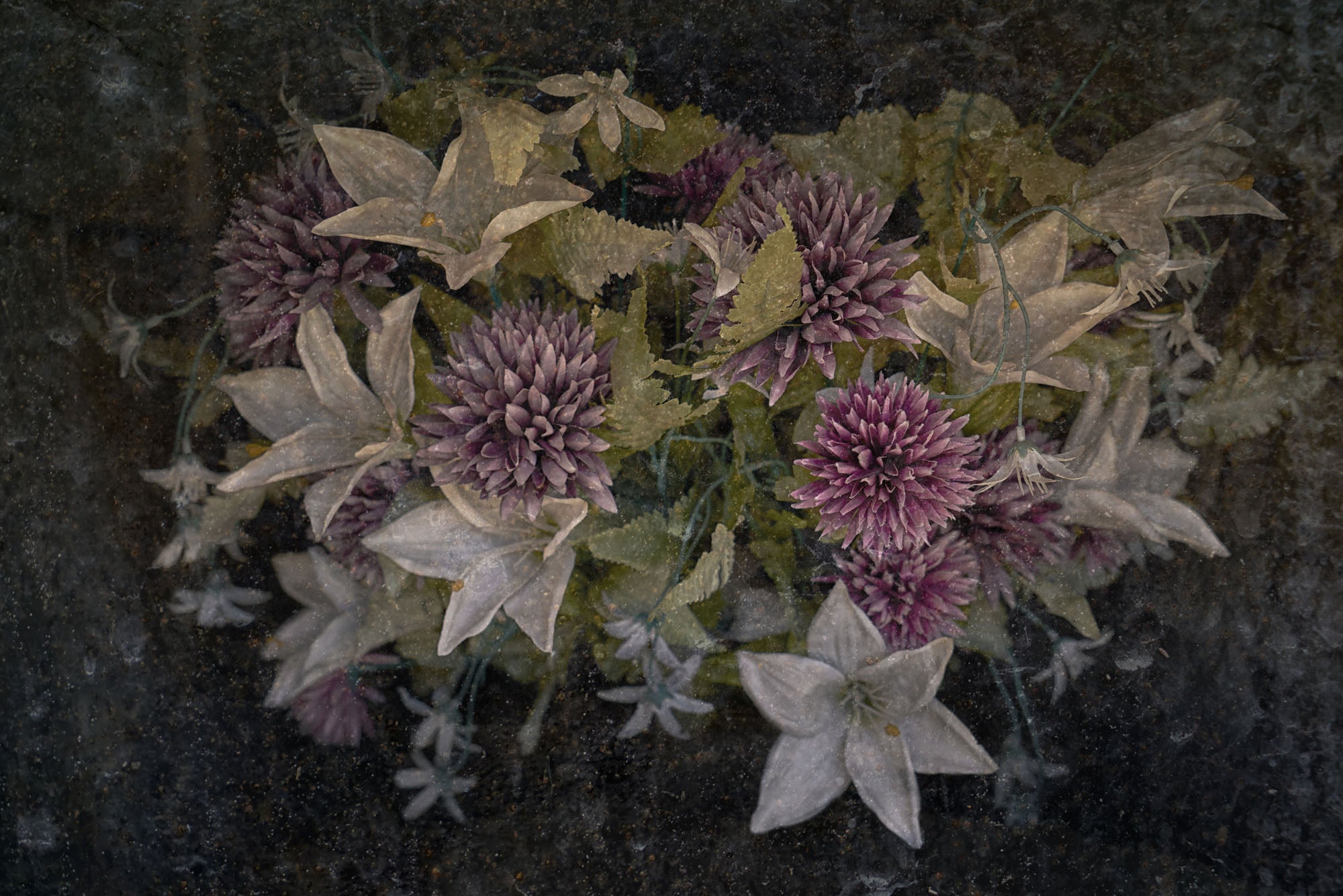 ETERNITY 46, 2006