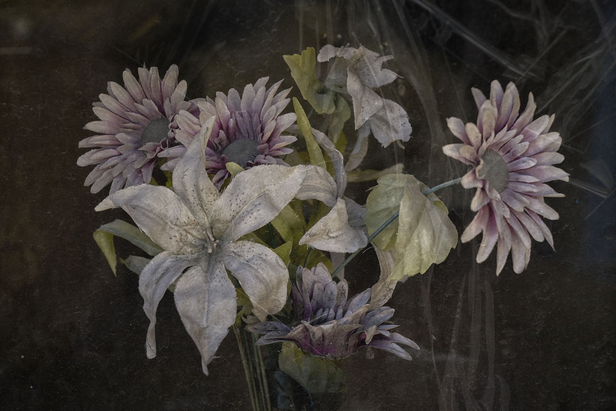 ETERNITY 49, 2008