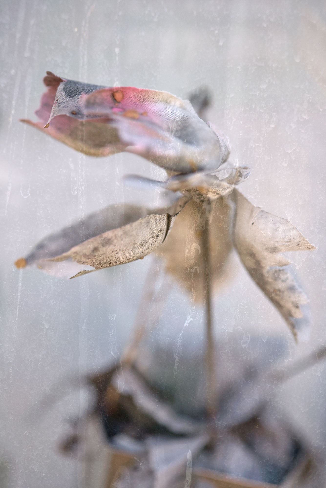 ETERNITY 52, 2005