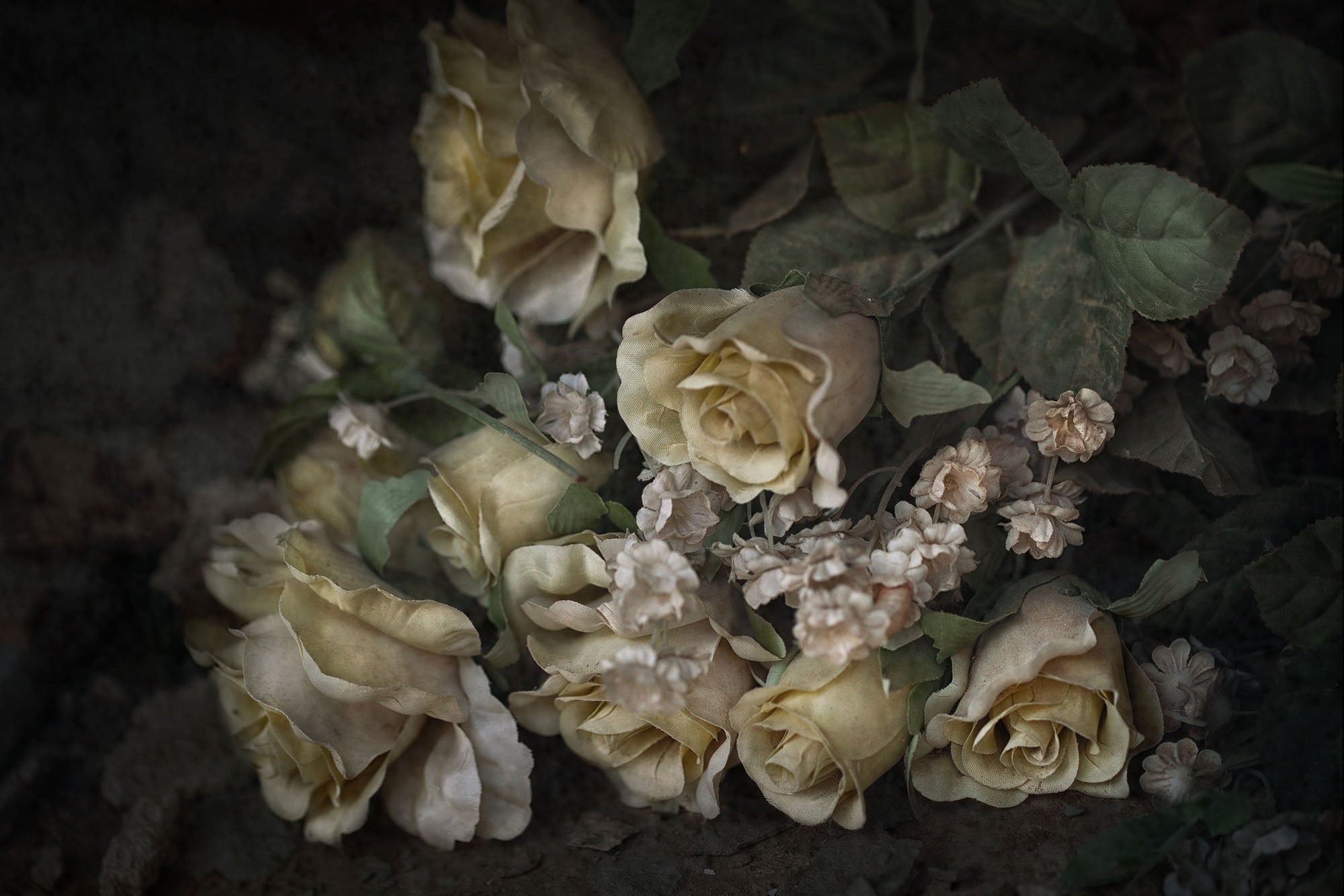 ETERNITY 53, 2008