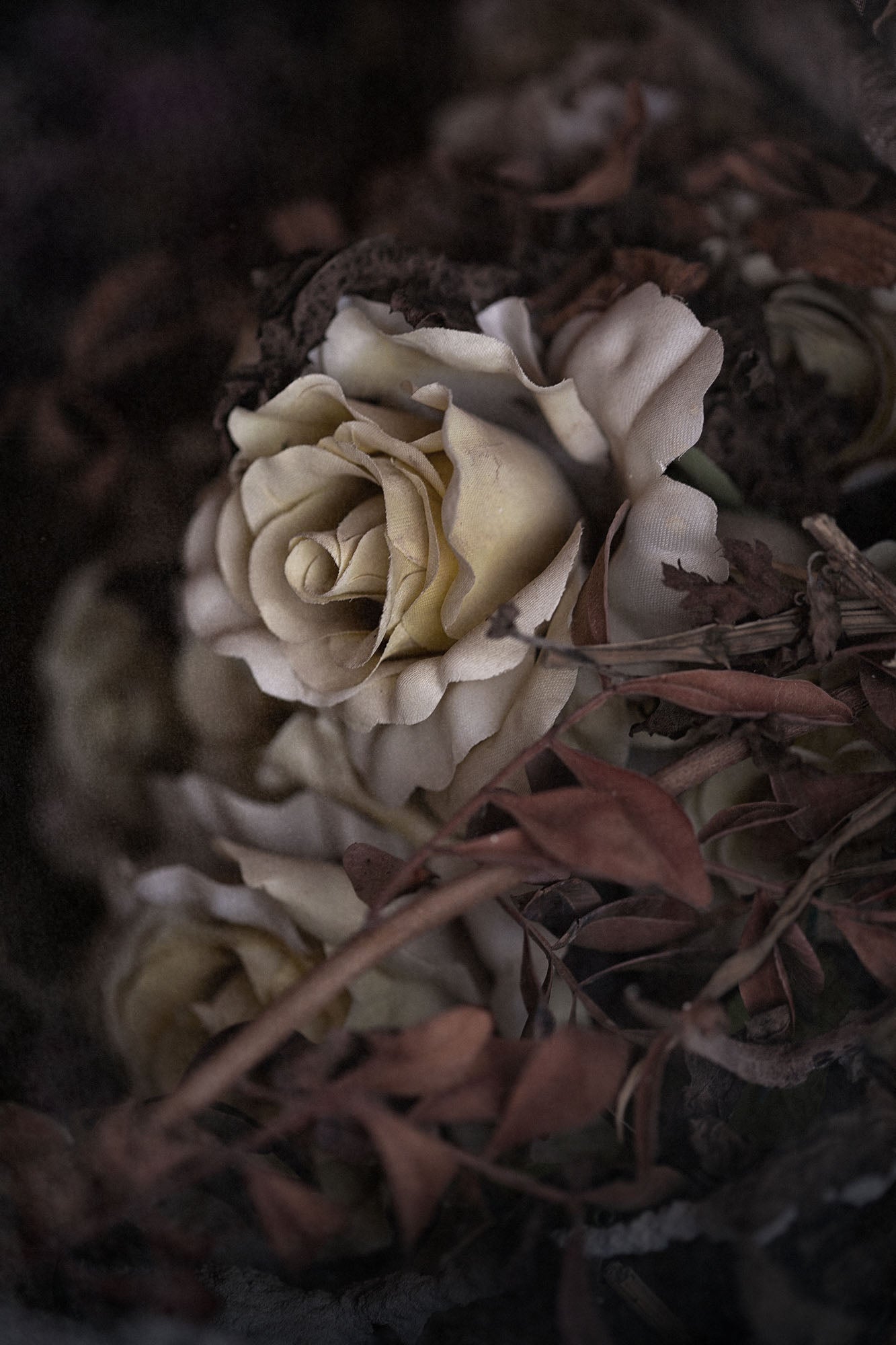 ETERNITY 54, 2010