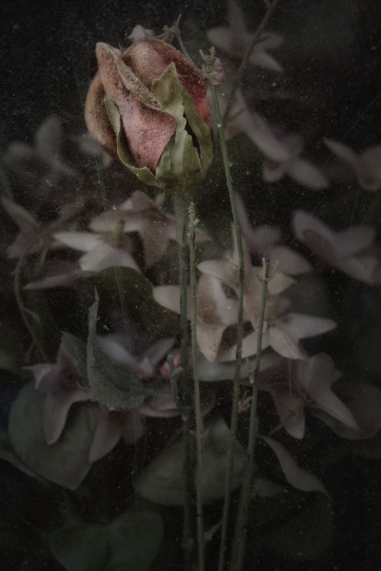 ETERNITY 57, 2009