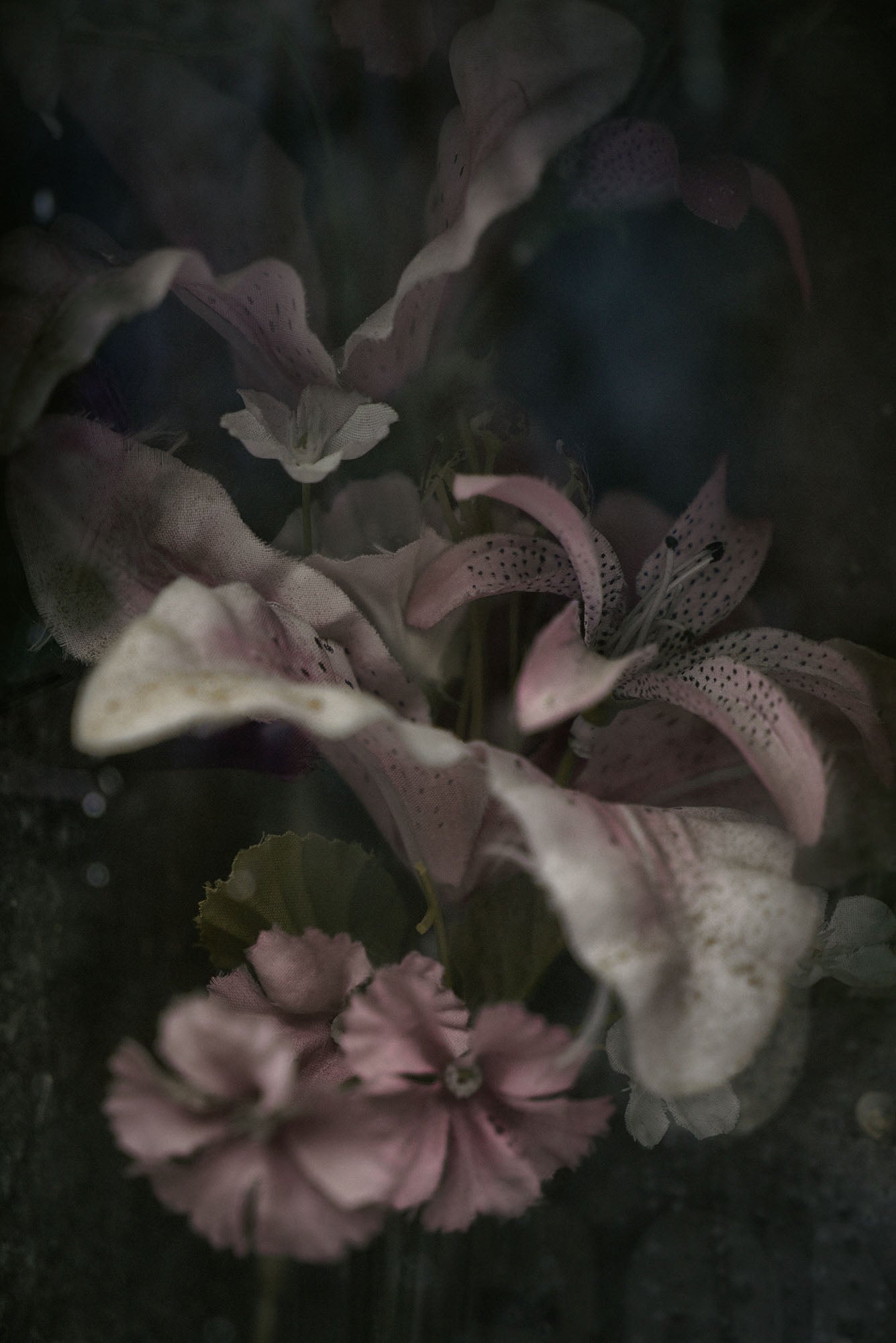 ETERNITY 62, 2010