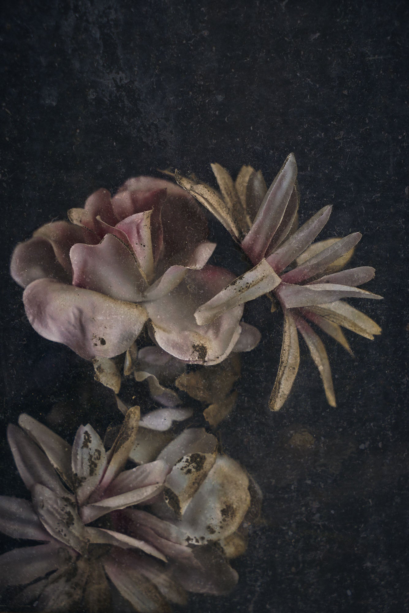 ETERNITY 66, 2010