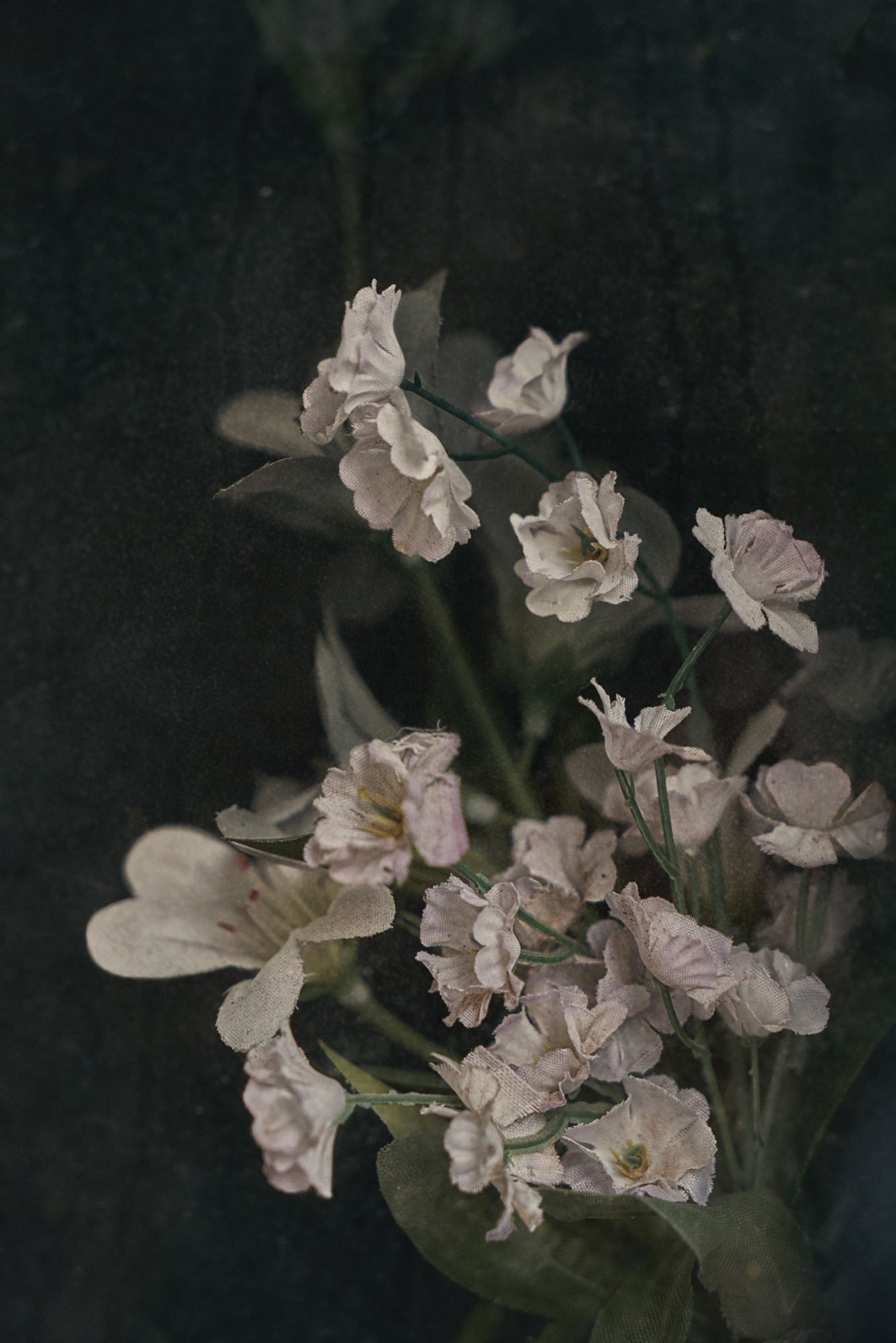 ETERNITY 70, 2006