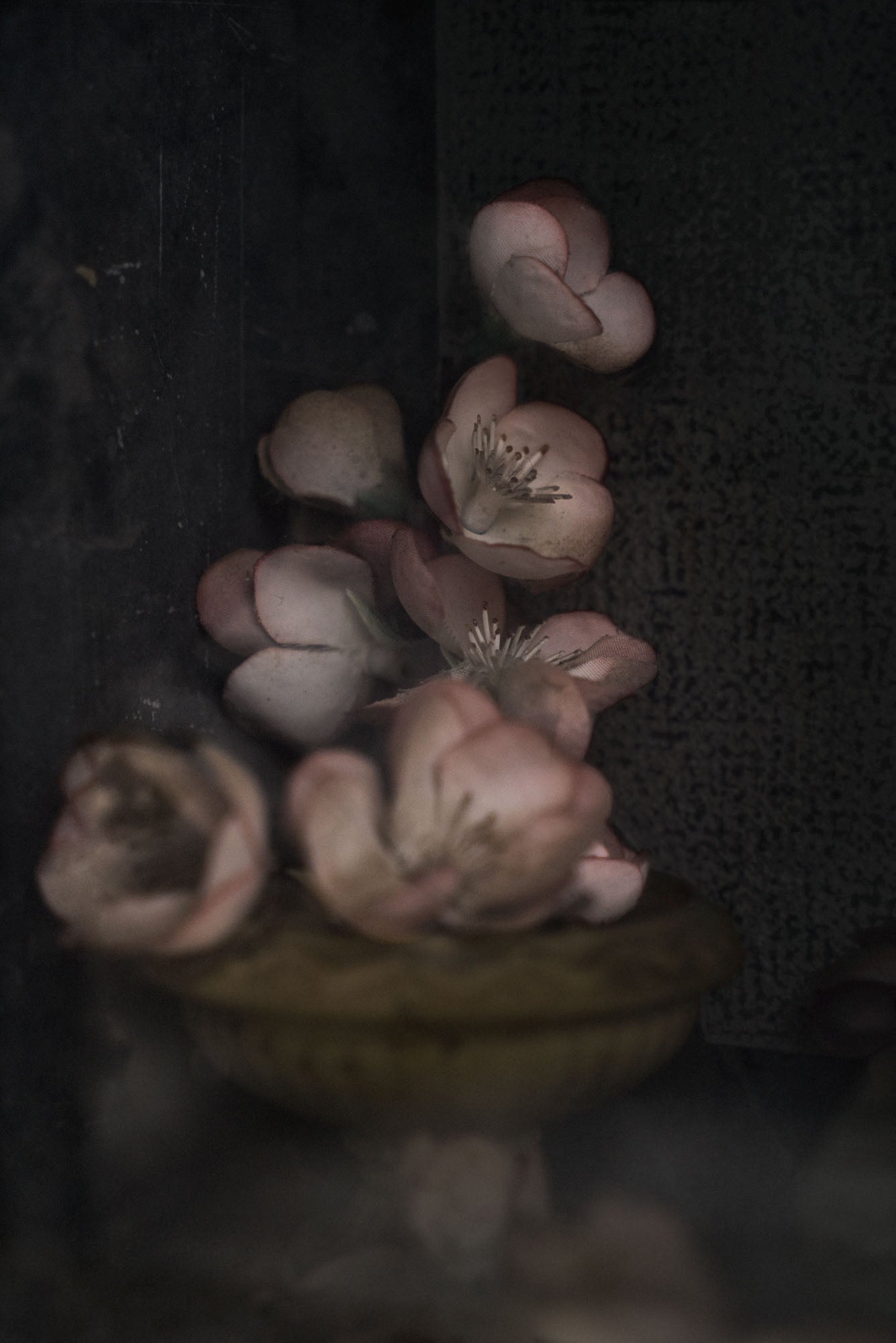 ETERNITY 71, 2009