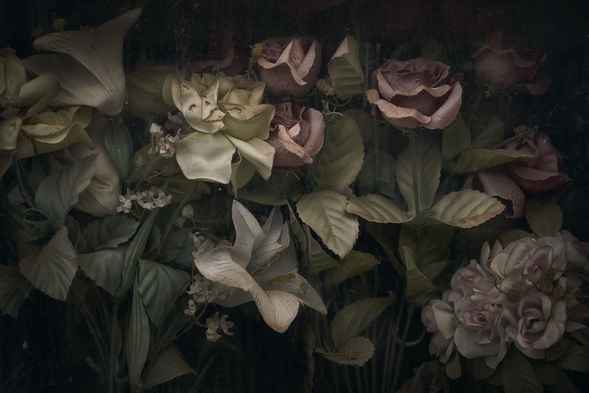 ETERNITY 73, 2009