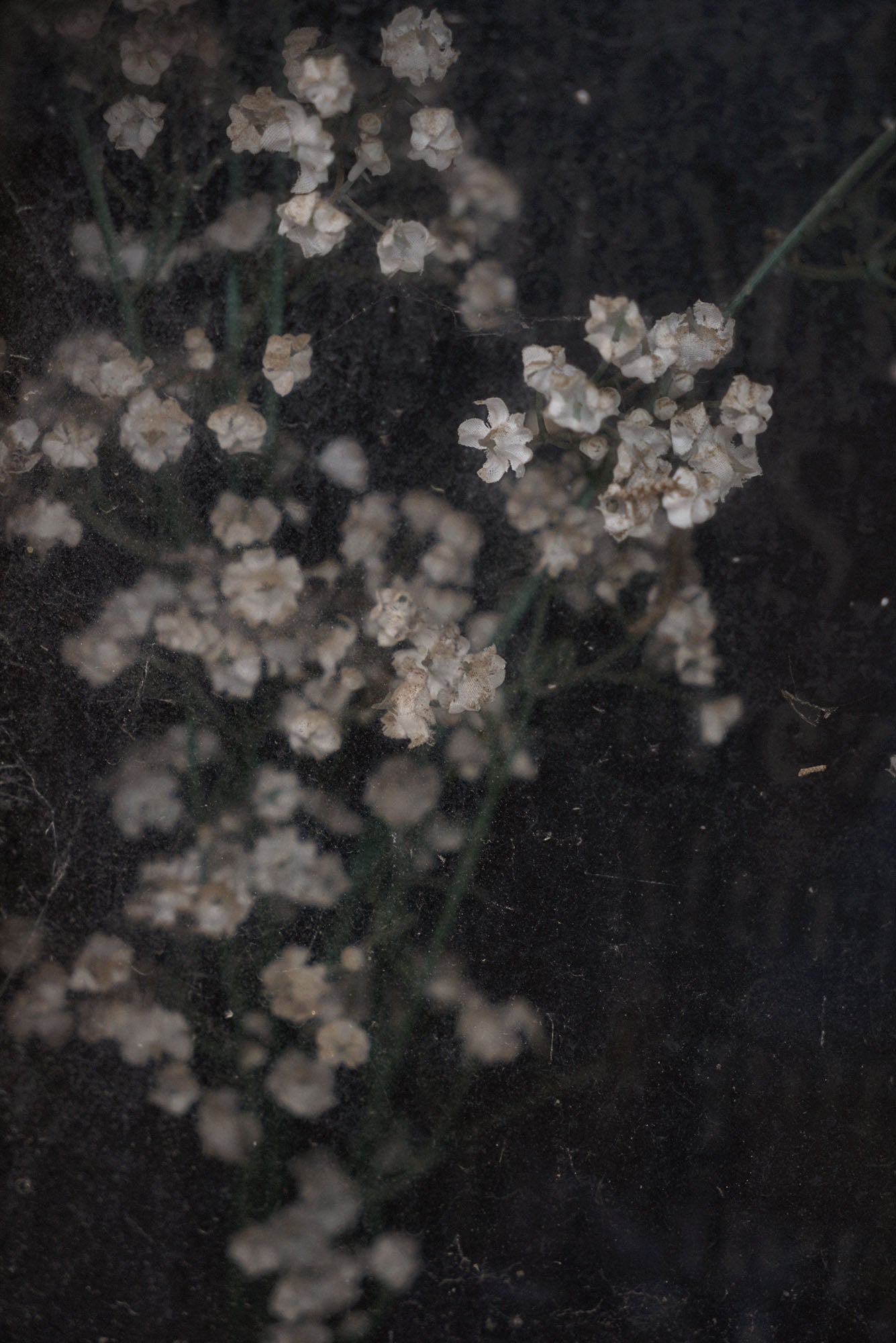 ETERNITY 79, 2006