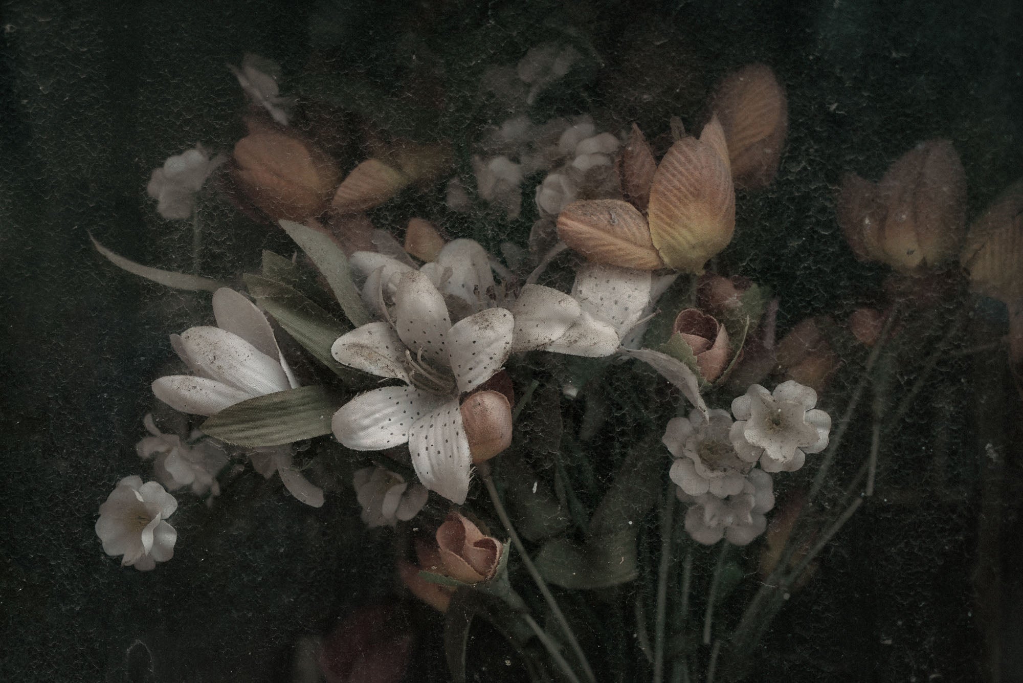 ETERNITY 80, 2007