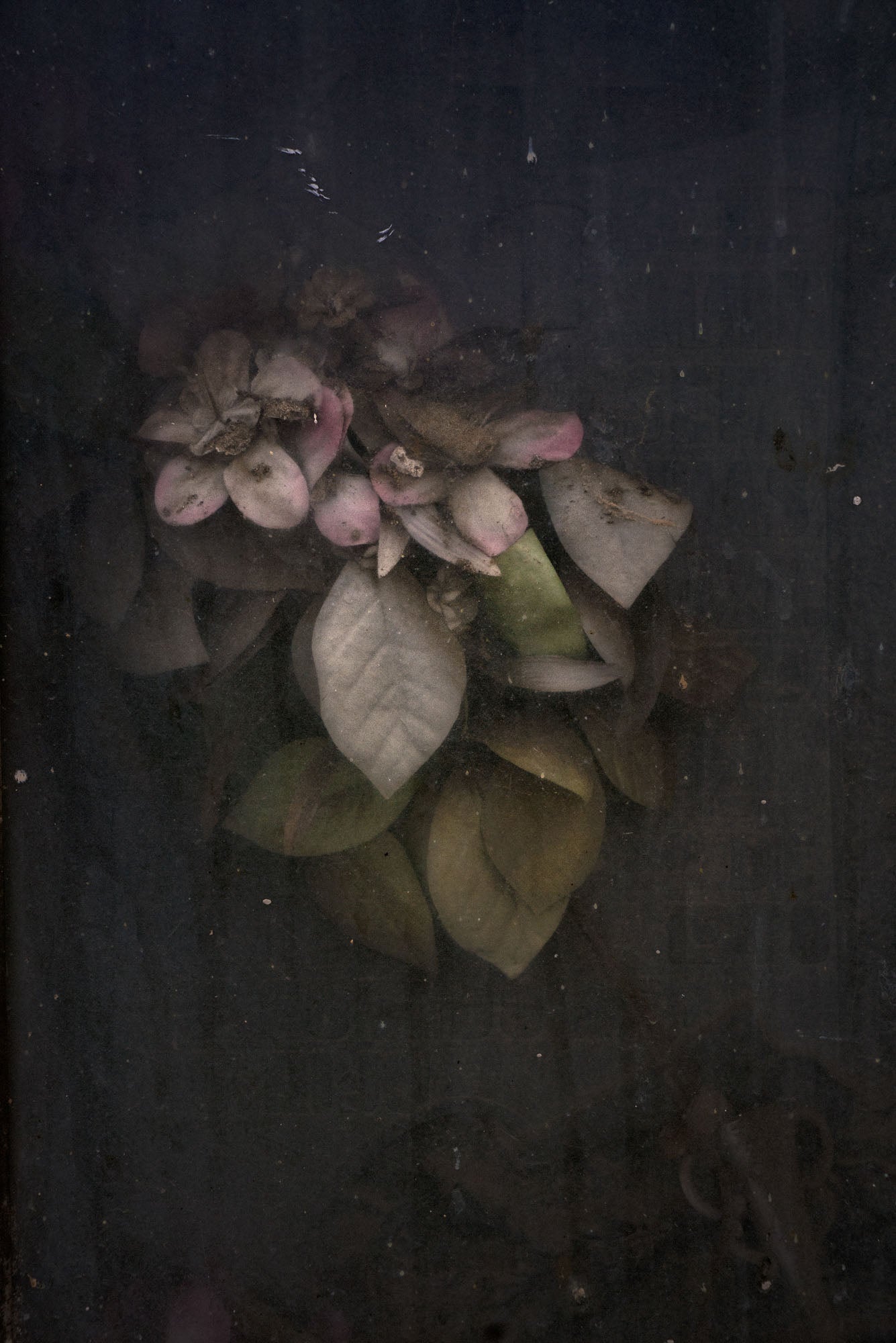 ETERNITY 81, 2010