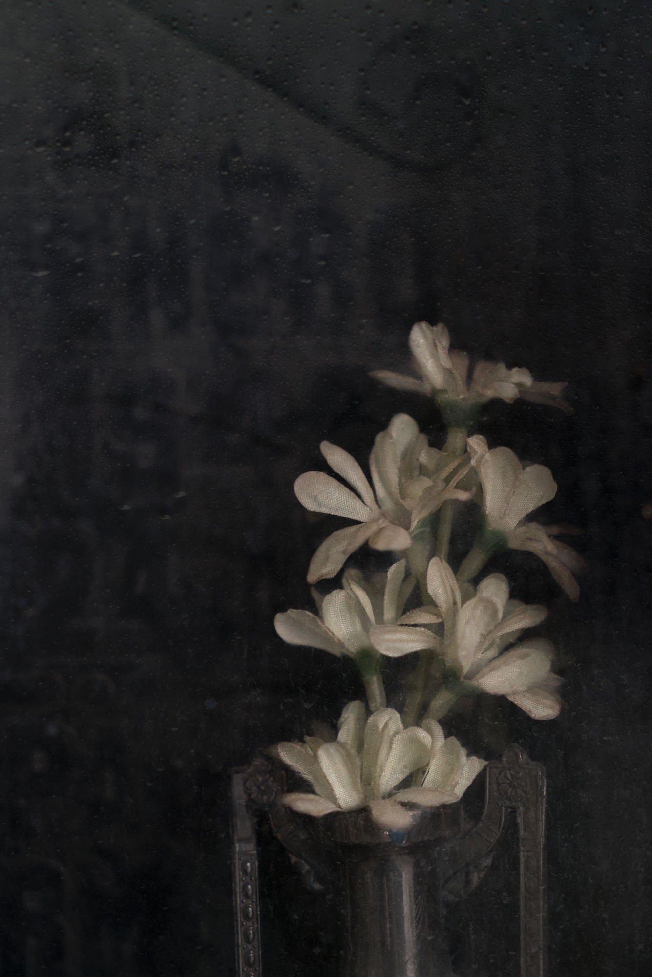 ETERNITY 82, 2005