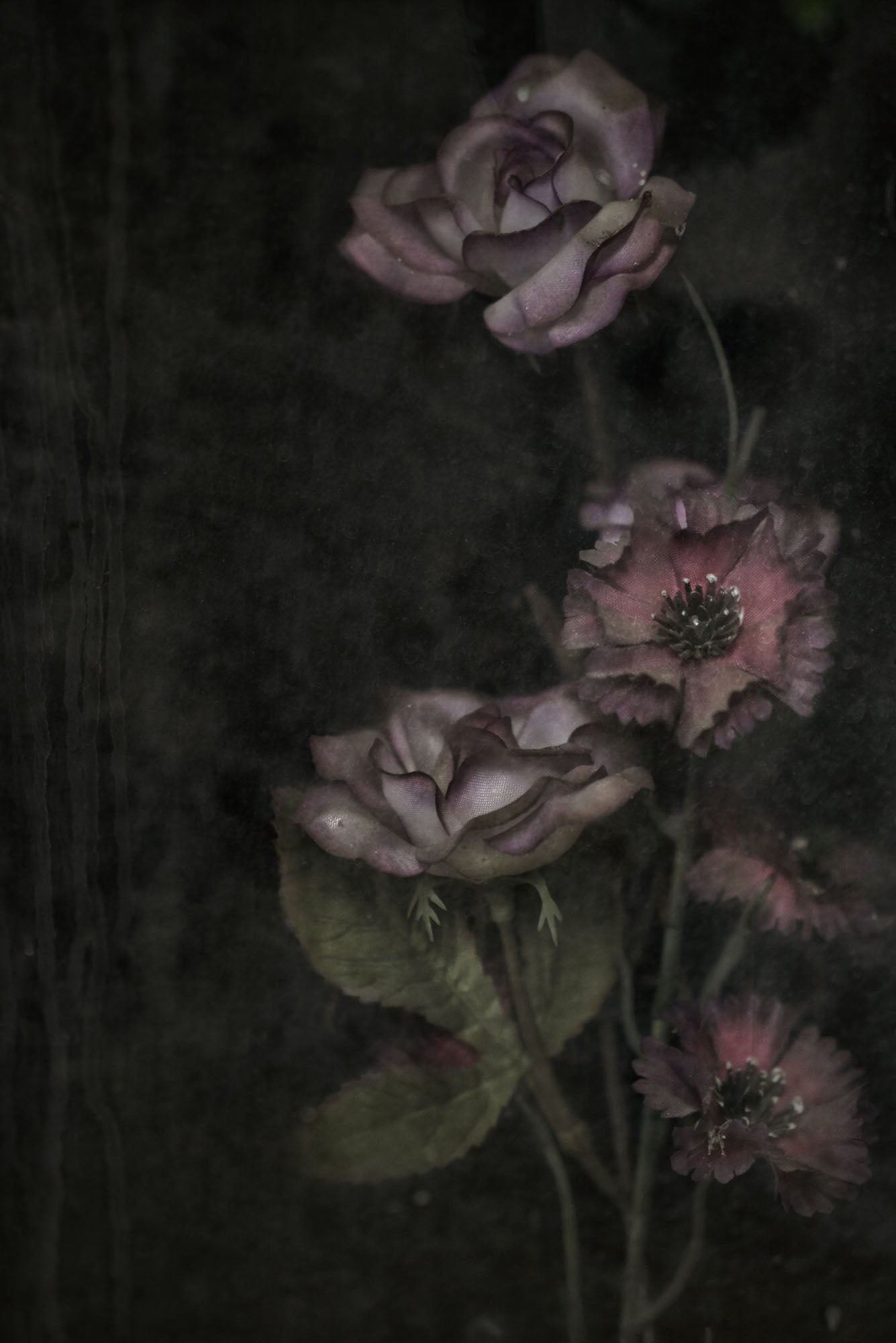 ETERNITY 84, 2009