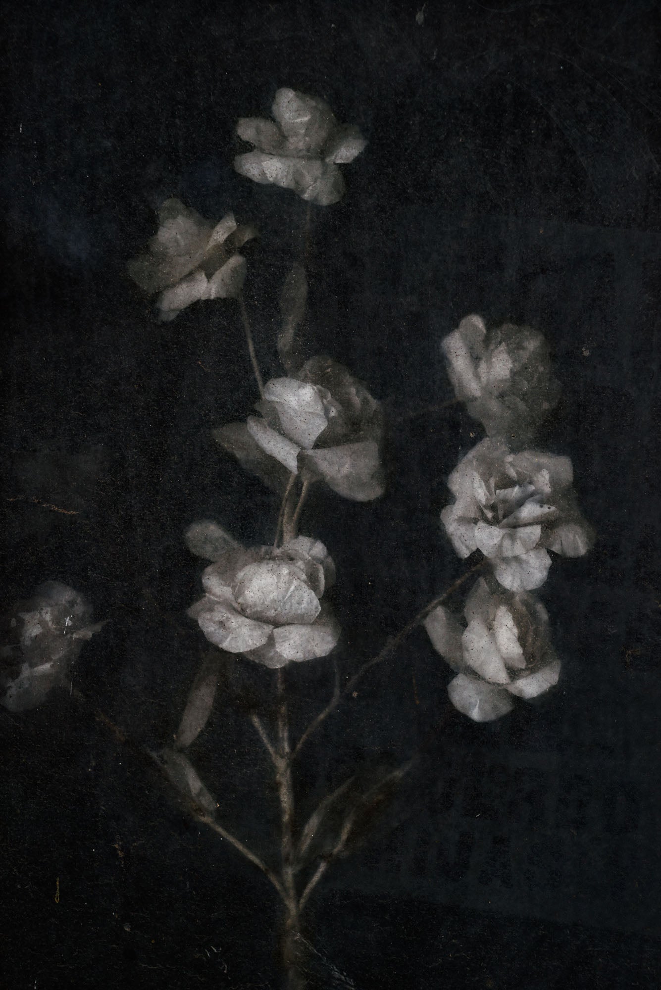 ETERNITY 85, 2010