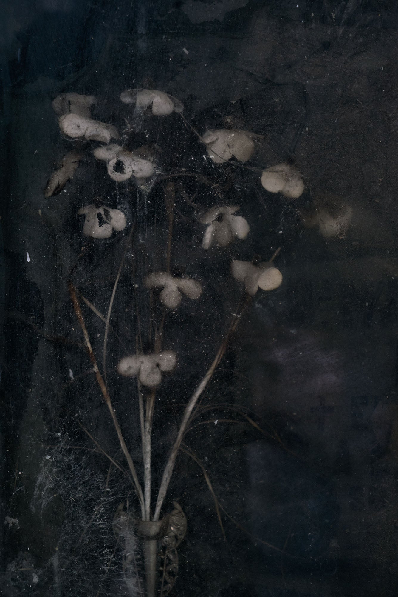 ETERNITY 87, 2007