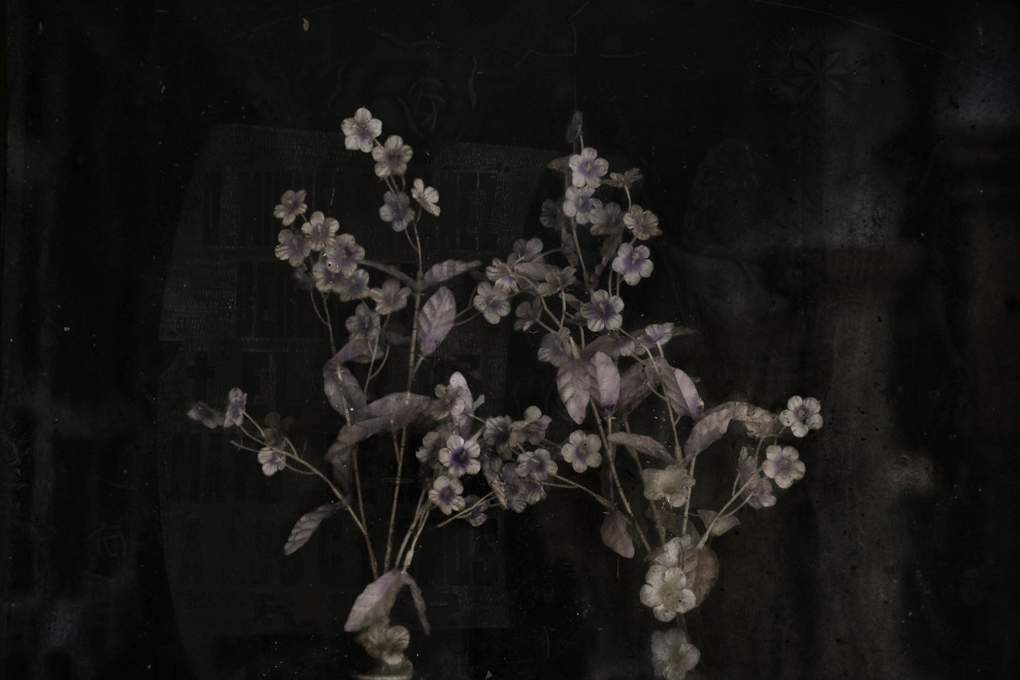 ETERNITY 88, 2005