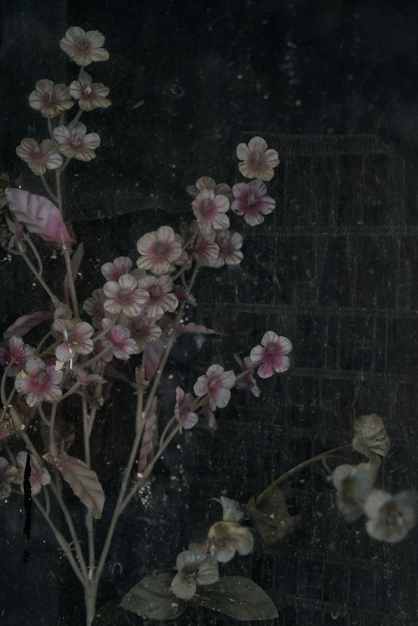 ETERNITY 89, 2008