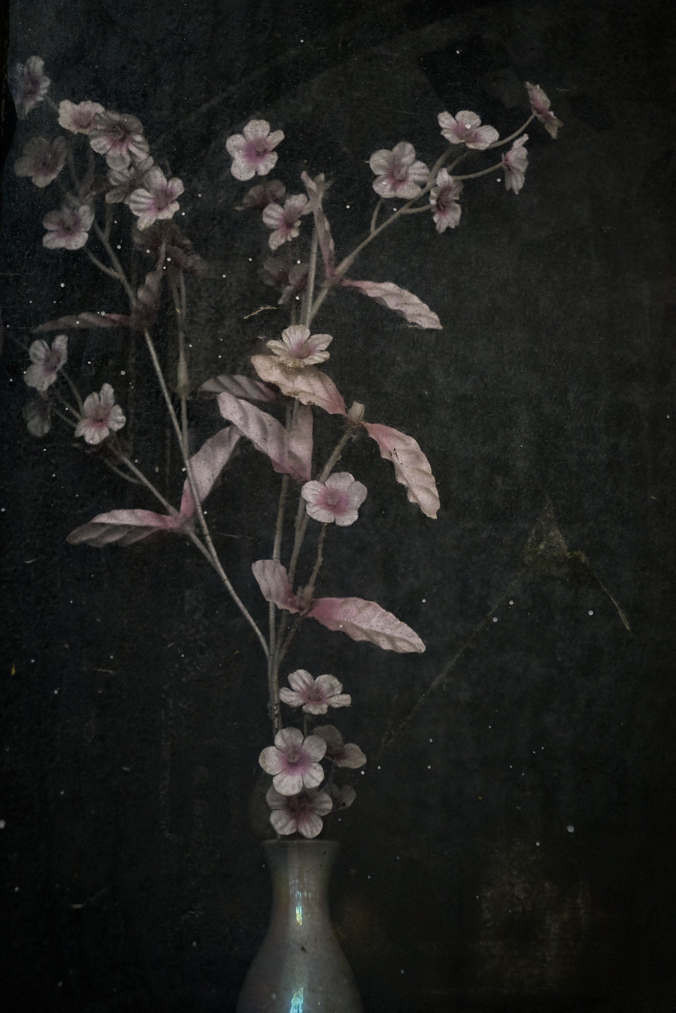 ETERNITY 90, 2007