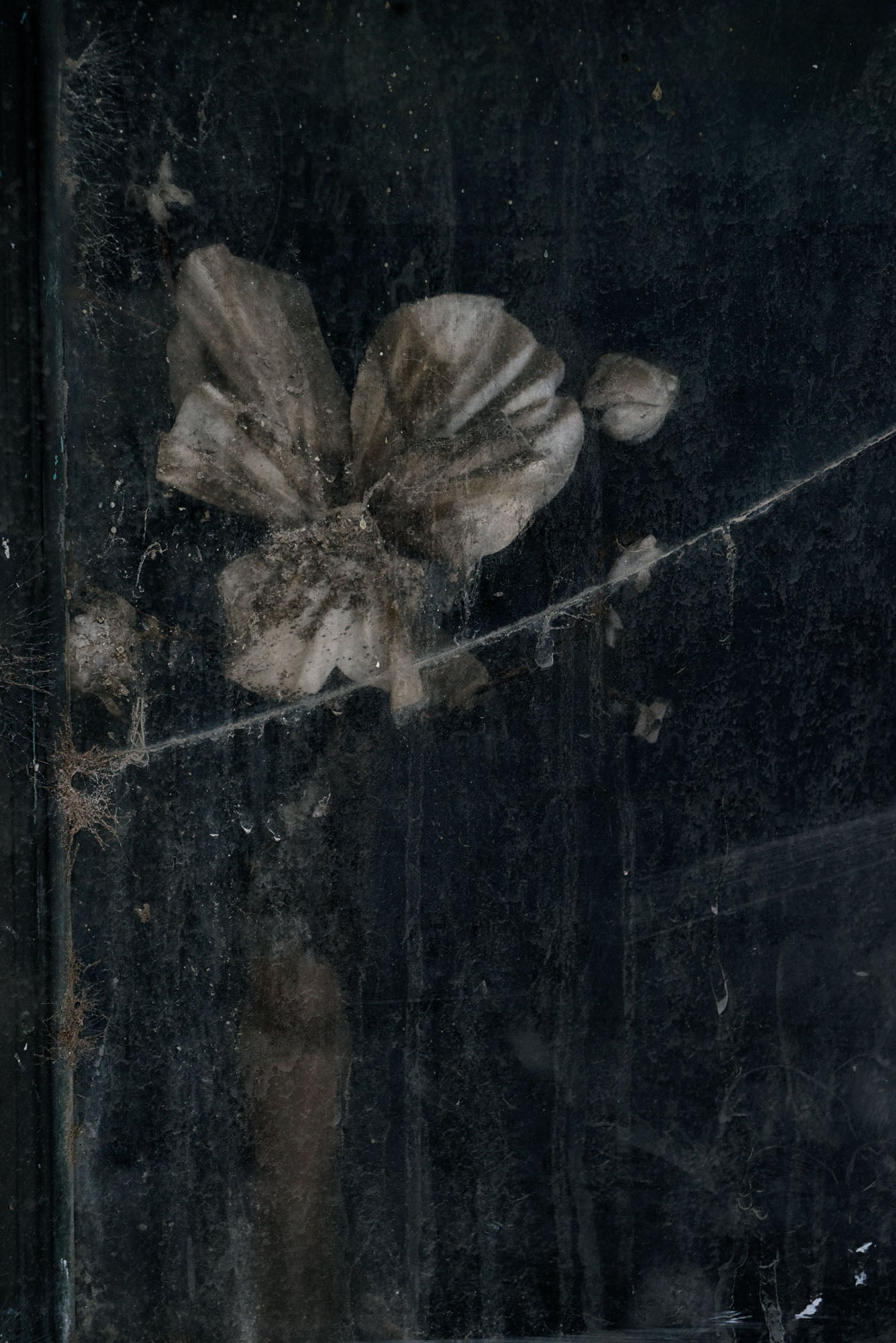 ETERNITY 92, 2011